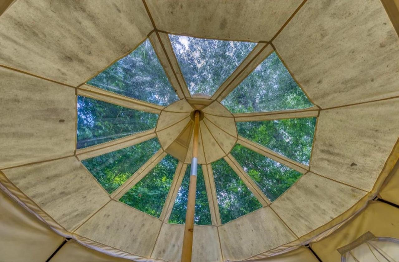The Aries-A Stargazing, Luxury Glamping Tent Rogersville 외부 사진