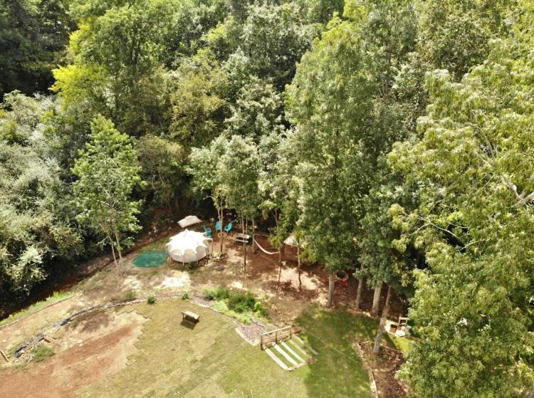 The Aries-A Stargazing, Luxury Glamping Tent Rogersville 외부 사진