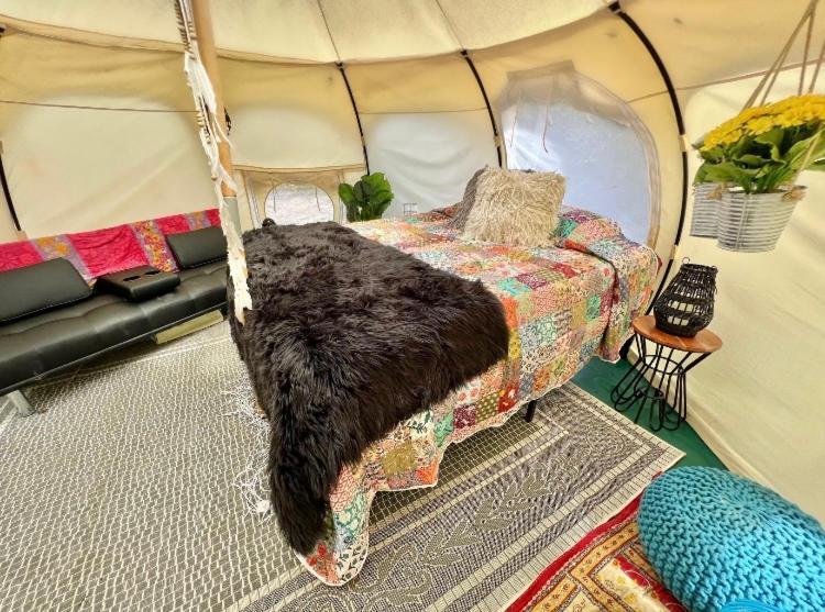 The Aries-A Stargazing, Luxury Glamping Tent Rogersville 외부 사진